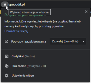 Do I Need an SSL Certificate?