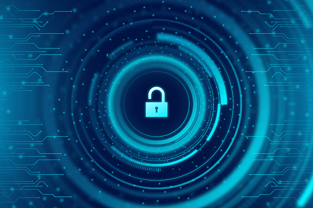 website security
