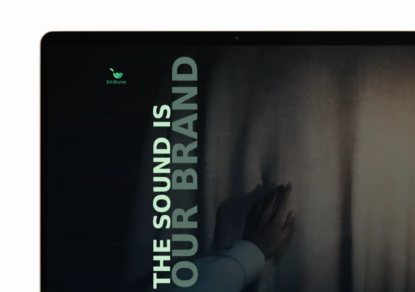 Birdtune