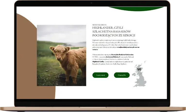 portfolio laptop